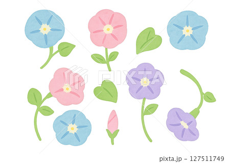 朝顔の水彩イラスト　花とつぼみ各方向セット　夏素材 127511749
