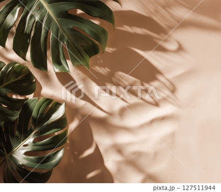 Minimal tropical mockup background with large Monstera leaves casting natural shadows on a soft sandy surface. Minimal tropical mockup background with large Monstera leaves casting natural shadows on a soft sandy surface. 127511944
