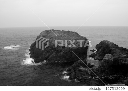 日本海 127512099