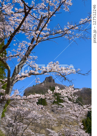 妙義さくらの里、桜と筆頭岩 妙義さくらの里、桜と筆頭岩 127512246