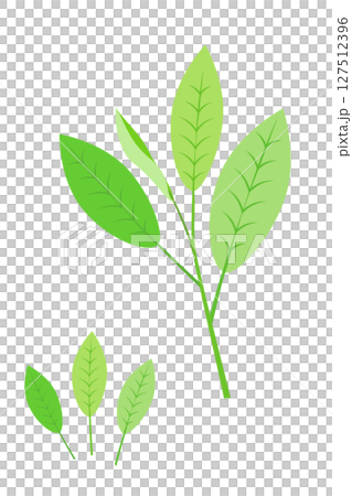 茶葉シンプル緑の葉っぱイラスト素材　白バックベクターpng 127512396