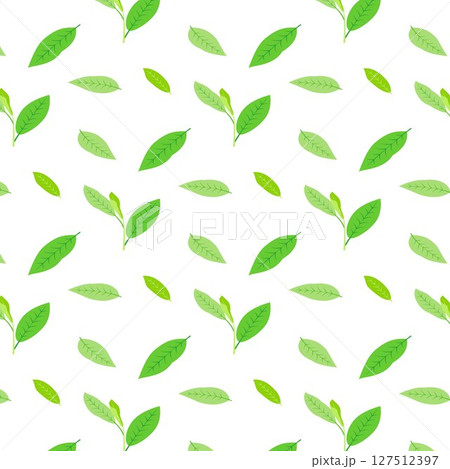 さわやか葉っぱ緑色パターン背景イラスト壁紙 スウォッチ素材ナチュラル ベクターpng さわやか葉っぱ緑色パターン背景イラスト壁紙 スウォッチ素材ナチュラル ベクターpng 127512397