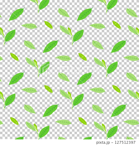 さわやか葉っぱ緑色パターン背景イラスト壁紙 スウォッチ素材ナチュラル ベクターpng さわやか葉っぱ緑色パターン背景イラスト壁紙 スウォッチ素材ナチュラル ベクターpng 127512397