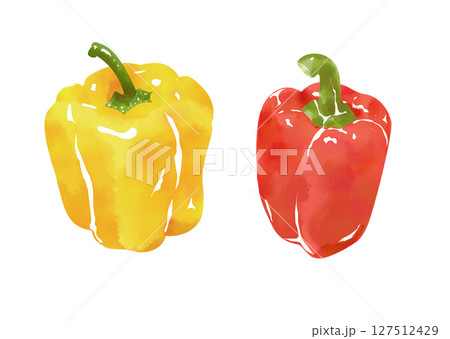 水彩風パプリカのイラスト 水彩風パプリカのイラスト 127512429