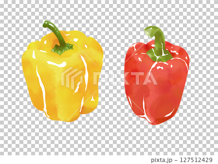 水彩風パプリカのイラスト 水彩風パプリカのイラスト 127512429
