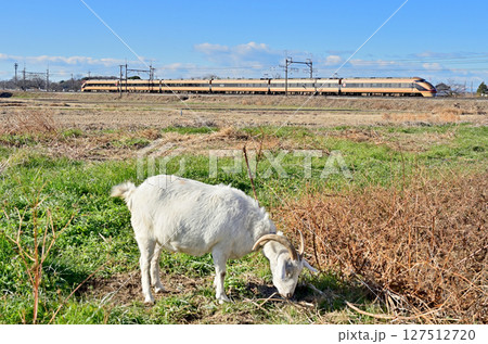 鉄道　私鉄：東武鉄道　JR相互乗り入れ　スペーシア日光1号　100系 127512720