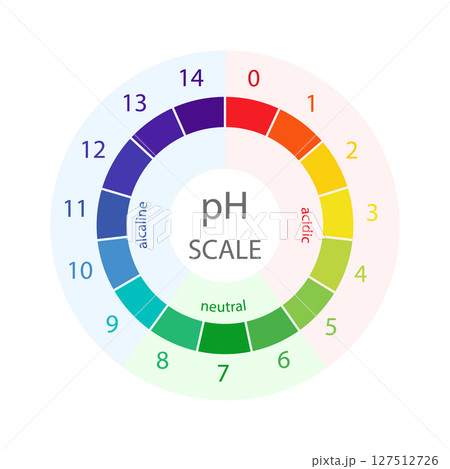 PH Scale. Level of acid and alkaline balance. Ph analysis or chemical test. Education Poster. Flat Vector illustration PH Scale. Level of acid and alkaline balance. Ph analysis or chemical test. Education Poster. Flat Vector illustration 127512726