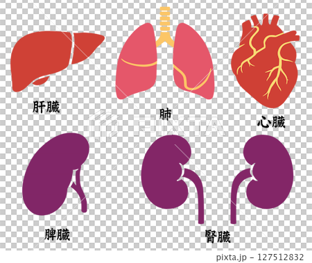 五臓「AI生成画像」 127512832
