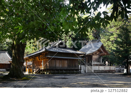 ロマンチック茨城(笠間市稲田の稲田神社は千年もの間この地にひっそりと根を張る「名神大社」である。) ロマンチック茨城(笠間市稲田の稲田神社は千年もの間この地にひっそりと根を張る「名神大社」である。) 127512882