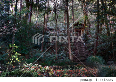 ロマンチック茨城（神話の里、笠間市稲田神社の奇稲田姫が舞い降りたと伝わる泉「好井」を守る、奥の院。） 127512885