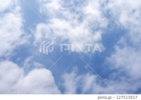 夏の空 夏空 青空 空 夏 晴れ 6月 【東京都】 127513017