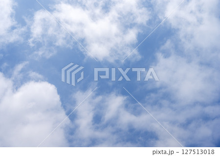 夏の空 夏空 青空 空 夏 晴れ 6月 【東京都】 127513018