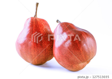 西洋梨　リーガル・レッド・コミス 127513035