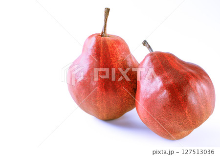 西洋梨　リーガル・レッド・コミス 127513036