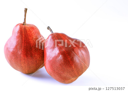 西洋梨 リーガル・レッド・コミス 西洋梨 リーガル・レッド・コミス 127513037