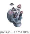 Scull with mushrooms toadstool in the eye gothic magical texture isolated on white background. Watercolor hand drawn skull illustration. Art for design mystical halloween witch decoration, scary card 127513092