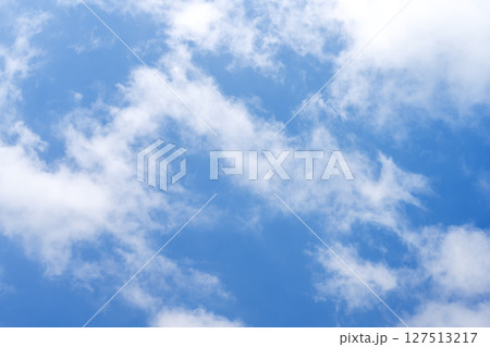 夏の空 夏空 青空 空 夏 晴れ 6月 【東京都】 127513217