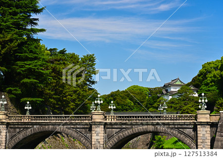 皇居外苑・二重橋 皇居外苑・二重橋 127513384