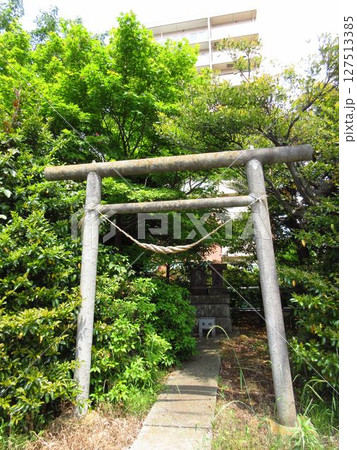 守谷市にある「土塔の道祖神」 127513385