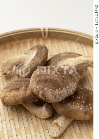 椎茸 しいたけ きのこ 椎茸 しいたけ きのこ 127513442
