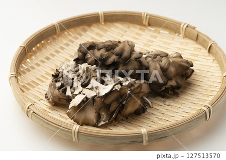 舞茸 まいたけ きのこ 舞茸 まいたけ きのこ 127513570