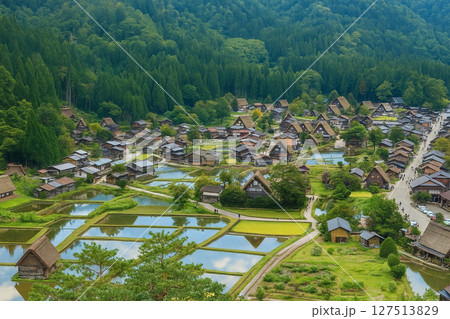 白川郷　荻町城跡展望台より春の田植えシーズンの合掌集落を望む 127513829