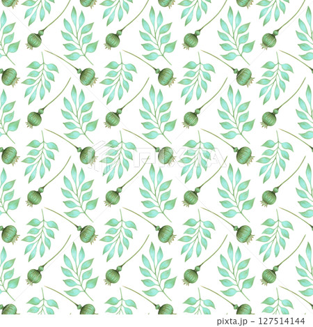 Seamless pattern with graceful turquoise leaves and poppy pod. Watercolor illustration. Hand drawn botanical isolated background. Simple plant branches for textile, packaging, wallpaper, fabric Seamless pattern with graceful turquoise leaves and poppy pod. Watercolor illustration. Hand drawn botanical isolated background. Simple plant branches for textile, packaging, wallpaper, fabric 127514144