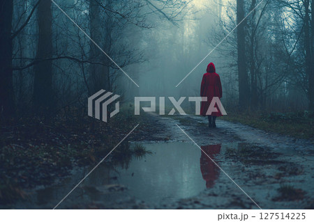 Red raincoat girl on foggy forest trail,rear view, tree reflections in puddles, cinematic mist light 127514225