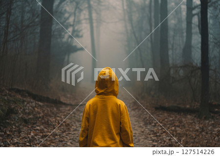 Boy in yellow hoodie walking on dry leaf covered woodland path, rear view, misty cinematic mood 127514226