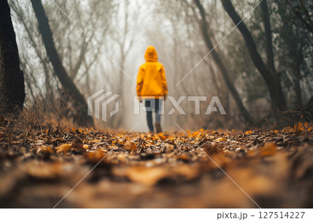 Yellow hoodie boy on woodland trail with fallen leaves, rear view, solitude and mystery in mist 127514227