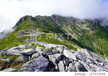 読売新道からの赤牛岳 127514244