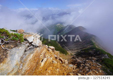 読売新道の稜線 127514245