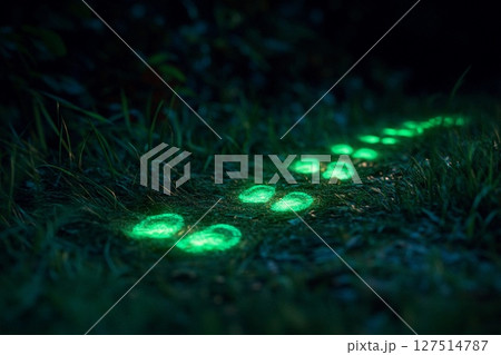 Cat explores glowing tracks in a mysterious forest at night revealing fantasy and intrigue Cat explores glowing tracks in a mysterious forest at night revealing fantasy and intrigue 127514787