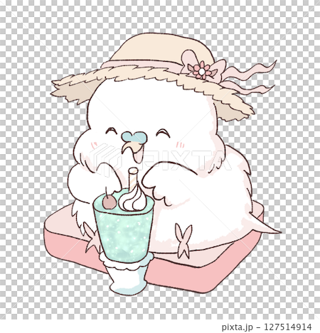 暑假虎皮鸚鵡 127514914