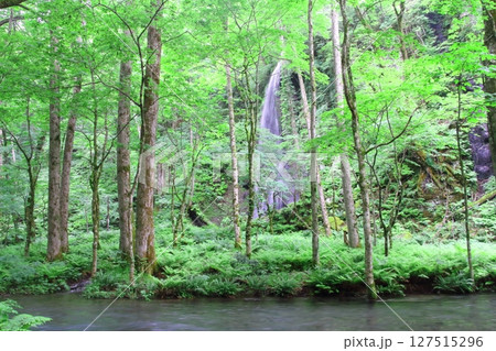 奥入瀬渓流（不老の滝） 127515296