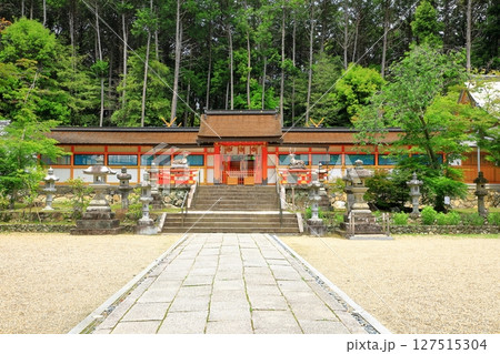 新緑の大原野神社 新緑の大原野神社 127515304