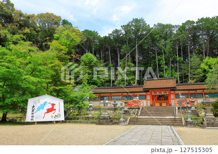 新緑の大原野神社 127515305
