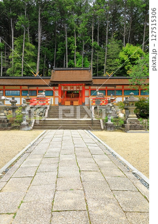 新緑の大原野神社 127515306