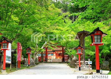 新緑の大原野神社 127515312
