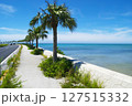 沖縄の青い海と青い空 127515332
