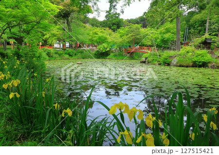 新緑の大原野神社　鯉沢池 127515421