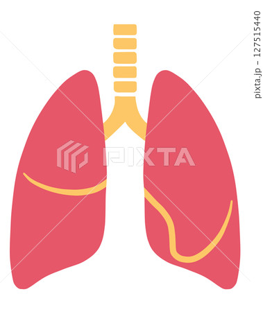 肺「AI生成画像」 127515440