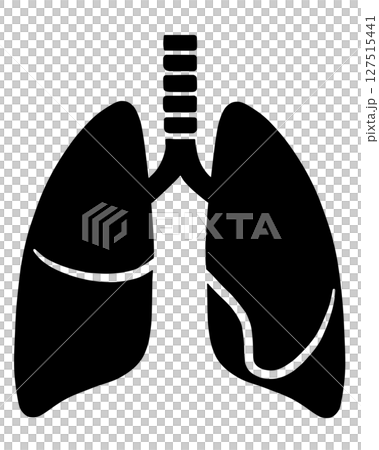 肺部“AI 生成的圖像” 肺部“AI 生成的圖像” 127515441
