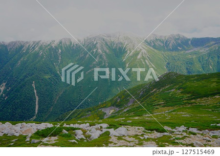 読売新道からの野口五郎岳 127515469