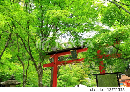 新緑の大原野神社 三の鳥居 新緑の大原野神社 三の鳥居 127515584