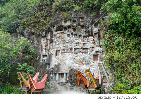 Funeral cliff site of Lemo in Toraja, Sulawesi, Indonesia 127515650