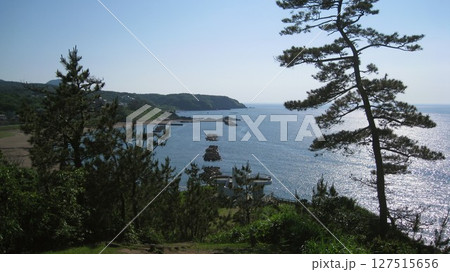 快晴の夏空の岬から望む青い海と緑の山麓 127515656