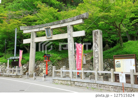 新緑の大原野神社 一の鳥居 新緑の大原野神社 一の鳥居 127515824