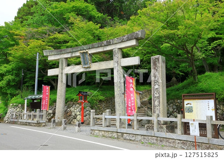新緑の大原野神社 一の鳥居 新緑の大原野神社 一の鳥居 127515825
