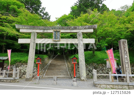 新緑の大原野神社　一の鳥居 127515826